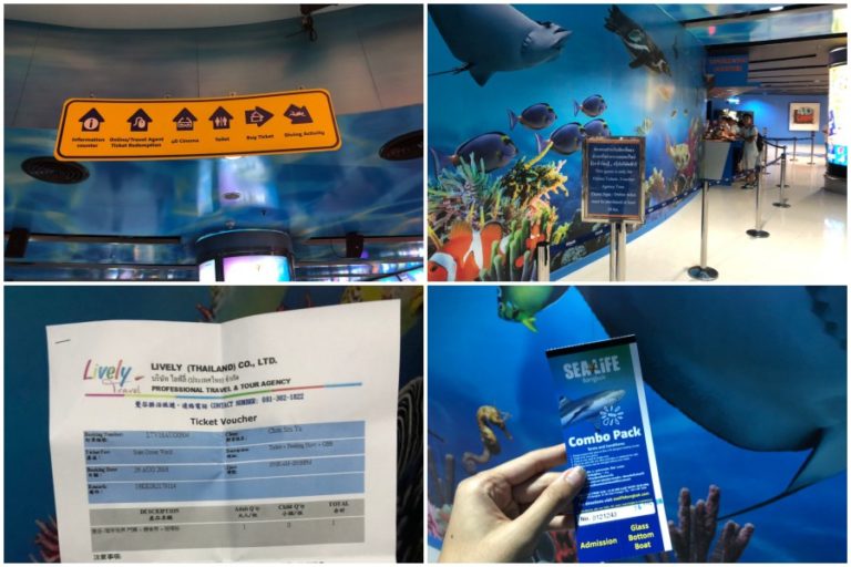 曼谷暹罗海洋世界馆交通、购票方式、馆内介绍